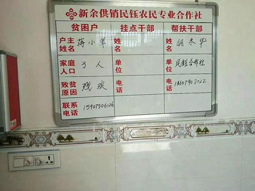 江西新余供銷系統(tǒng) 扶貧綜合服務(wù)站助力精準(zhǔn)脫貧，日用品貿(mào)易銷售惠民生